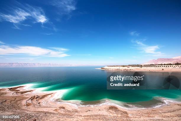 an image of the dead sea on a clear day - jorden stock pictures, royalty-free photos & images