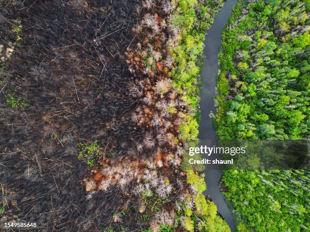 aerial view of wildfire damage - incêndio florestal imagens e fotografias de stock
