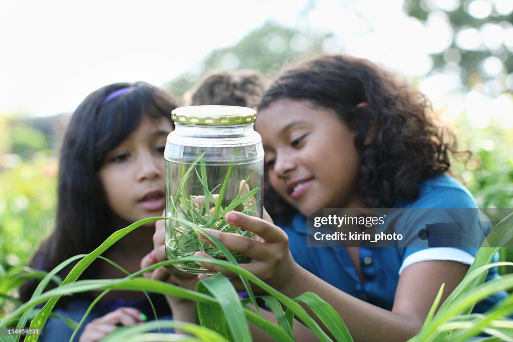 Young explorers