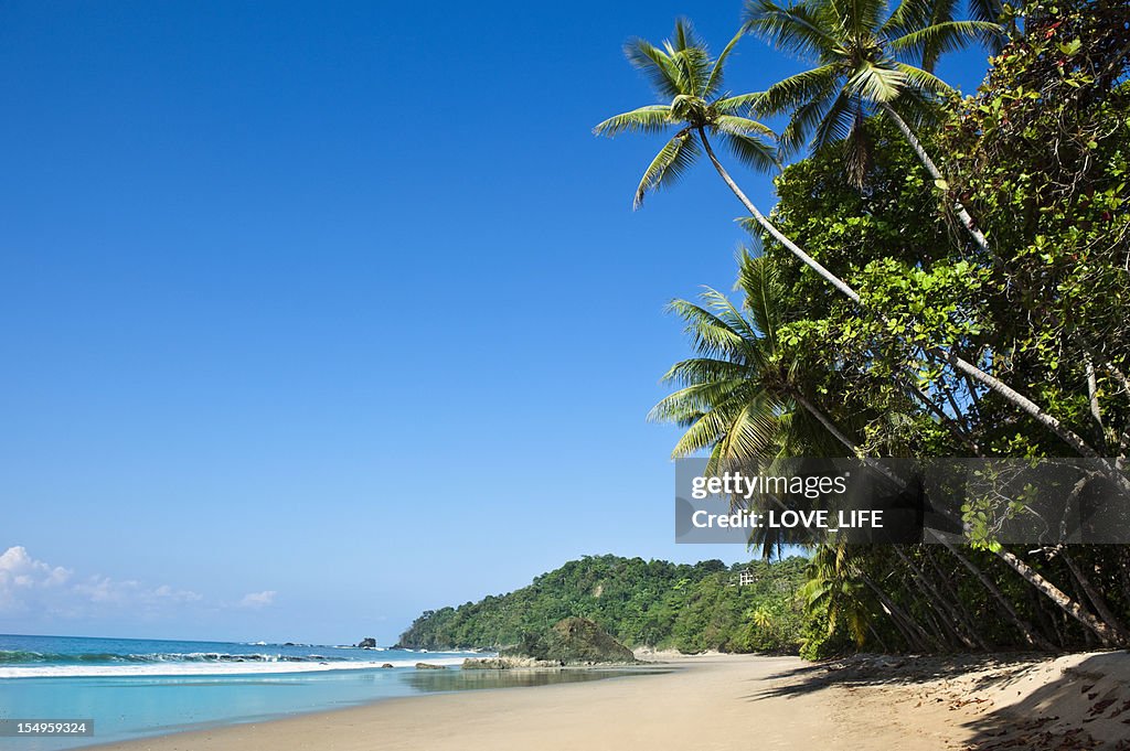 A tropical beach in Costa Rica