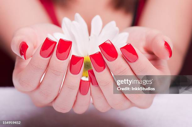 beautiful fingernails - manicure set stock pictures, royalty-free photos & images