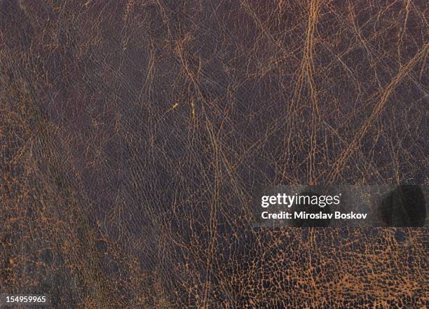 auflösung rindsleder grunge-textur-alte braun - tierhaut stock-fotos und bilder