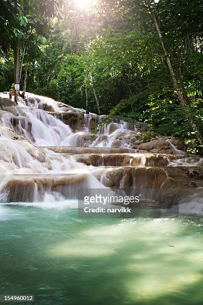 cascate del fiume dunn - jamaican foto e immagini stock