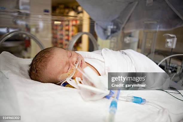 recién nacido en el hospital - neonatal intensive care unit fotografías e imágenes de stock