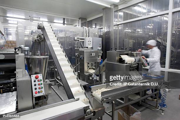 production line in the food factory. - food staple stock pictures, royalty-free photos & images