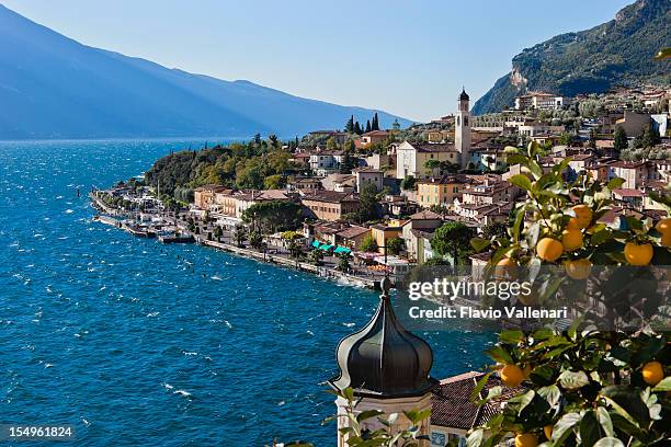 lemon on garda, italy - lemon tree stock pictures, royalty-free photos & images