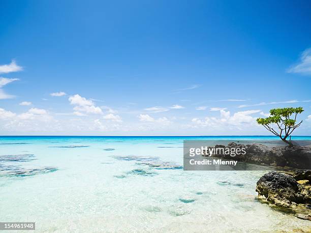 praia de sonho de férias de verão fakarava tuamotus polinésia francesa - tuamotus imagens e fotografias de stock
