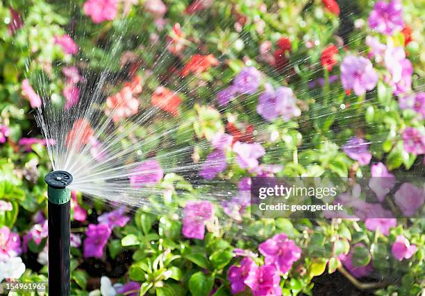 flor irrigador de aspersão acção - automático imagens e fotografias de stock