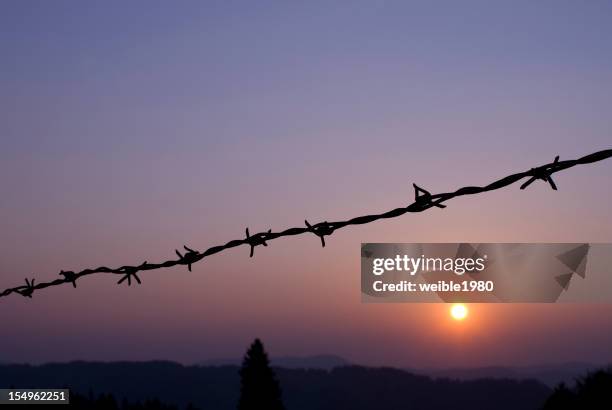 barbed wire at sunset - refugee crisis stock pictures, royalty-free photos & images