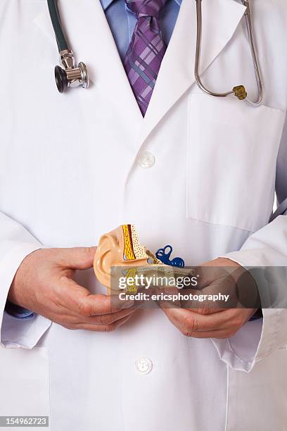 doctor holding oreja humana - organe de reproduction masculin fotografías e imágenes de stock