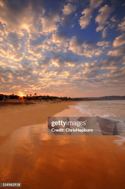 sunrise candolim beach, goa - goa beach bildbanksfoton och bilder