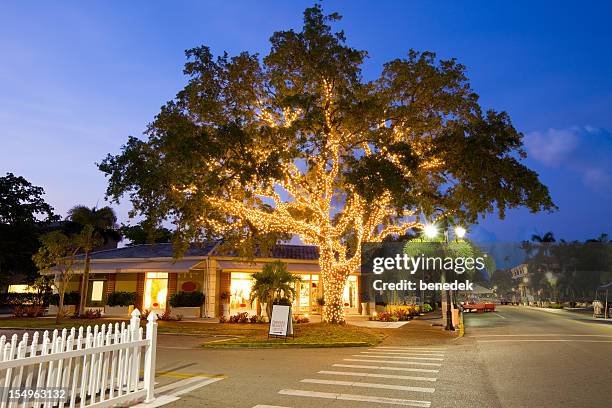 naples, florida, usa - naples stockfoto's en -beelden