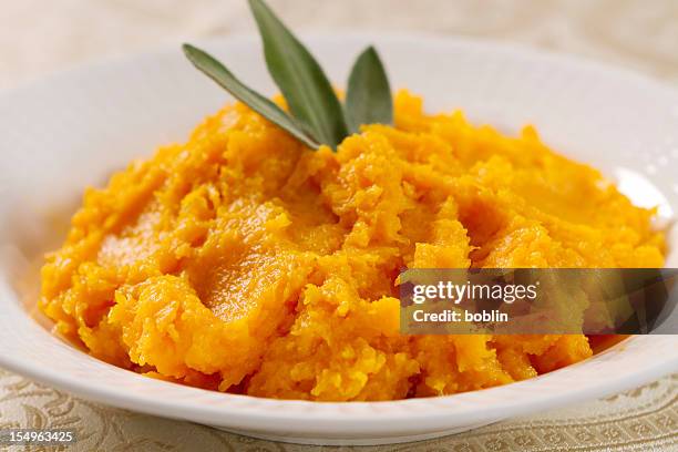 butternut squash prepared in a white bowl - pureed stockfoto's en -beelden