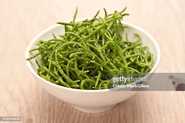 meerfenchel - meerfenchel stock-fotos und bilder