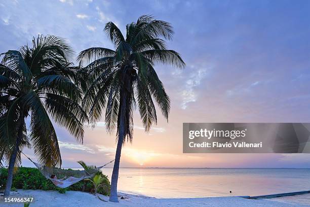 rum point beach in grand cayman at dawn - grand cayman stockfoto's en -beelden