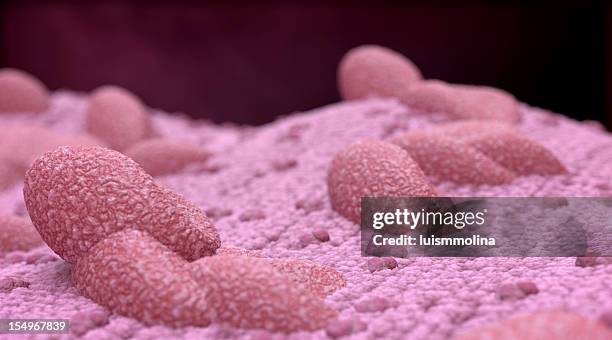 megakaryocyte - megakaryocyte stock pictures, royalty-free photos & images