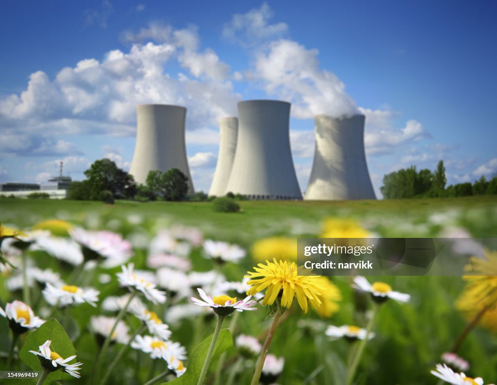 Centrale nucléaire et de fleurs Prairie