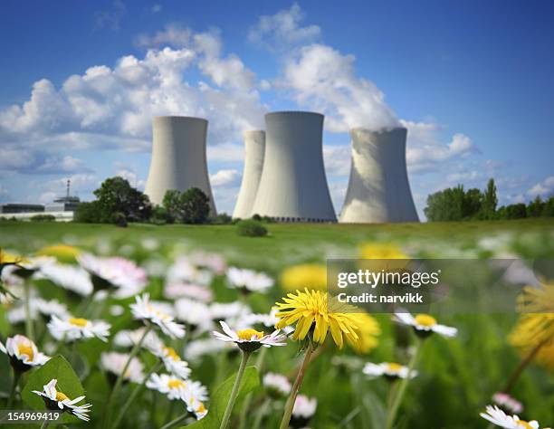 原発の花と草地 - 原子炉 ストックフォトと画像