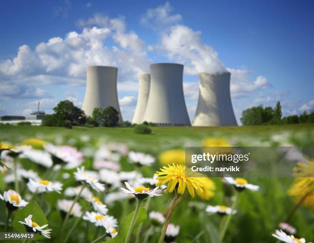 nuclear power plant and flowering meadow - kerncentrale stockfoto's en -beelden