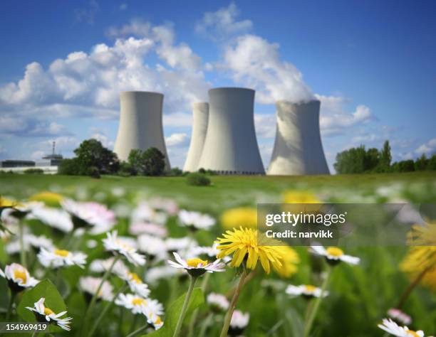 nuclear power plant and flowering meadow - cooling tower stockfoto's en -beelden