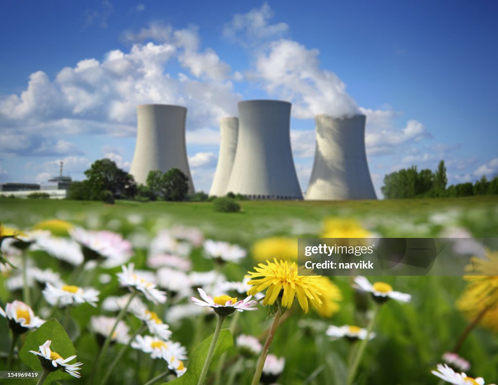 Nuclear Power Plant and Flowering Meadow