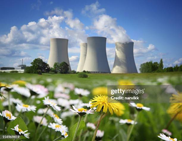 nuclear power plant and flowering meadow - kärnkraftverk bildbanksfoton och bilder