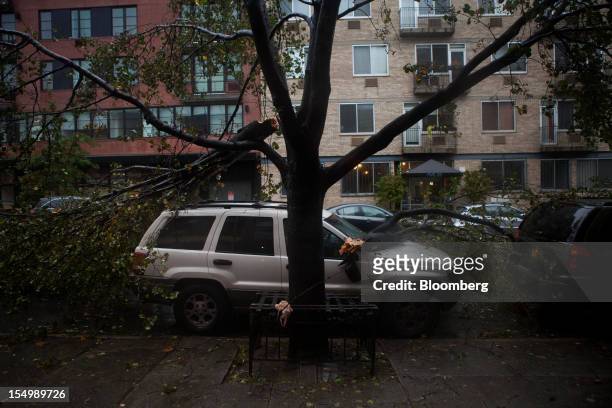 Fallen branches lay on top of a car in the Gowanus neighborhood of Brooklyn in New York, U.S., on Monday, Oct. 29, 2012. Hurricane Sandy, the...