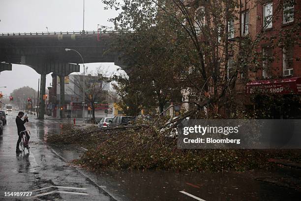 Cyclist photographs a fallen tree in the Gowanus neighborhood of Brooklyn in New York, U.S., on Monday, Oct. 29, 2012. Hurricane Sandy, the...