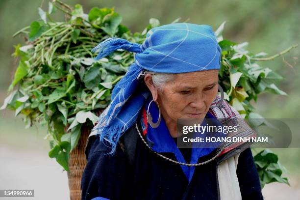 This picture taken on October 24, 2012 shows a Hmong hilltribe woman carrying sweet potato leaves on her back in the mountainous district of Mu Cang...