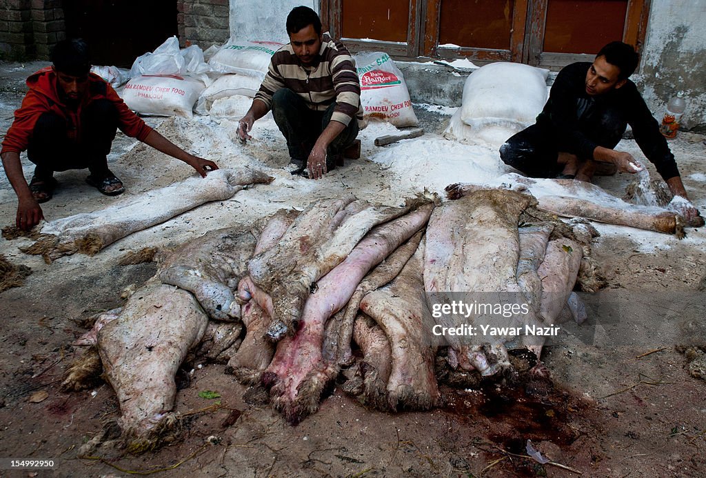 Eid ul Adha Festival Generates Brisk Business in Animal Skins