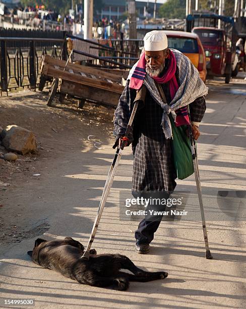 An elderly handicapped Indian Muslim beggar Noor Mohammed, aged 70, pats a stray dog with his crutch on October 30, 2012 in Srinagar, the summer...