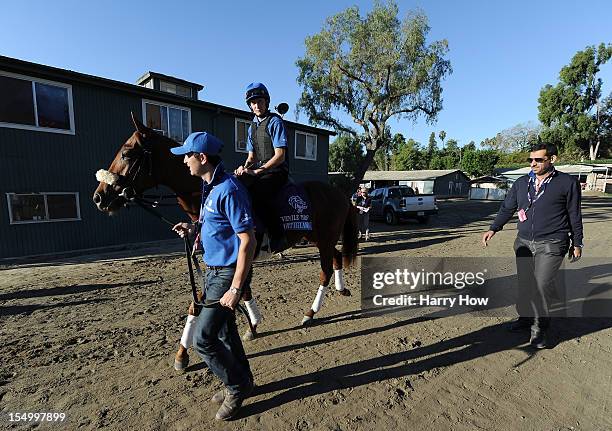 Rider takes Artigiano to the track as trainer Mahmood Al Zaranooni follows to the side in preparation for the 2012 Breeder's Cup at Santa Anita Park...