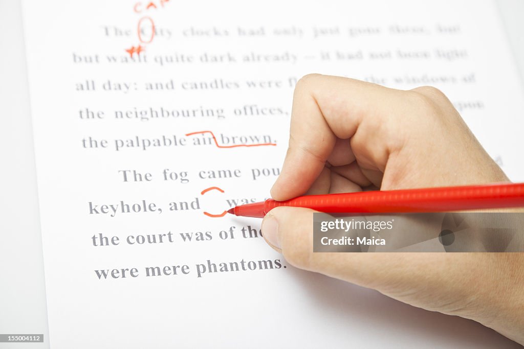 文章校正サービス