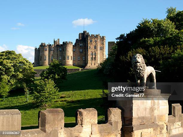 castillo de alnwick, northumberland - alnwick castle fotografías e imágenes de stock