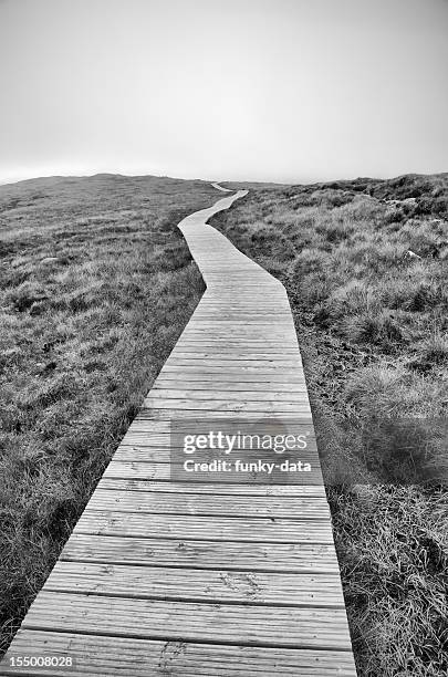 long path ahead - pedestrian walkway stock pictures, royalty-free photos & images