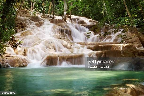 dunns river falls - jamaïque photos et images de collection