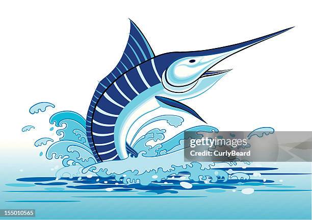 marlin fish - curly vector stock illustrations