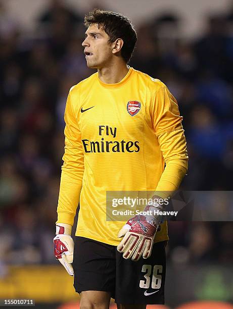 Damian Martinez of Arsenal during the Capital One Cup Fourth Round match between Reading and Arsenal at Madejski Stadium on October 30, 2012 in...