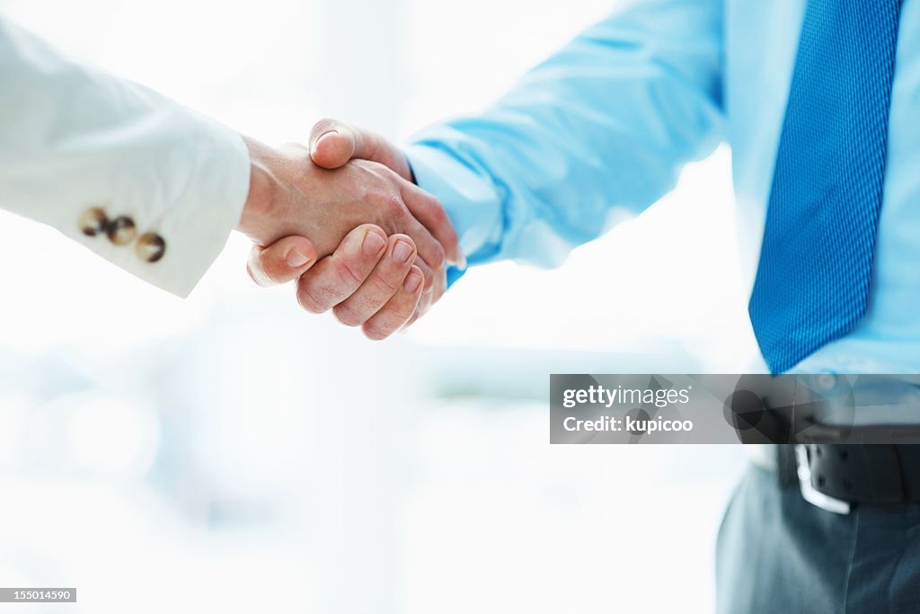 Business colleagues shaking hands in agreement