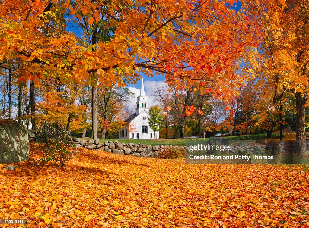 Autumn In New Hampshire