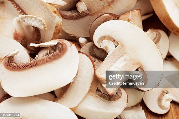 mushroom - edible mushroom stock pictures, royalty-free photos & images