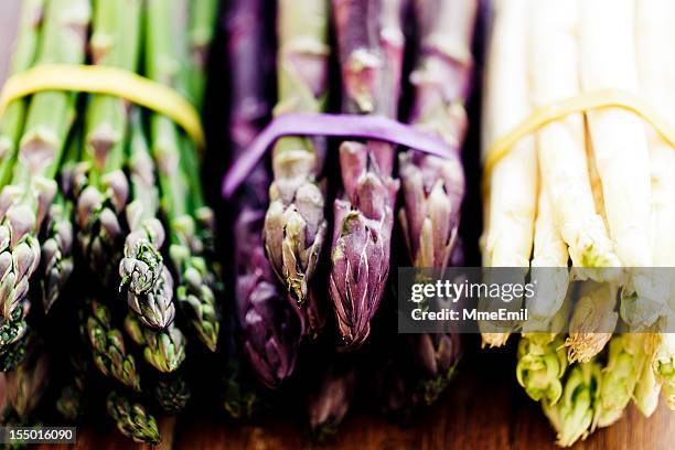 variety of asparagus - asparagus stock pictures, royalty-free photos & images