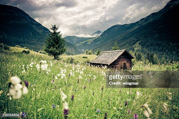 spring meadow with dramatic sky n- tirol, austria- vintage filtered - tyrol state stock pictures, royalty-free photos & images