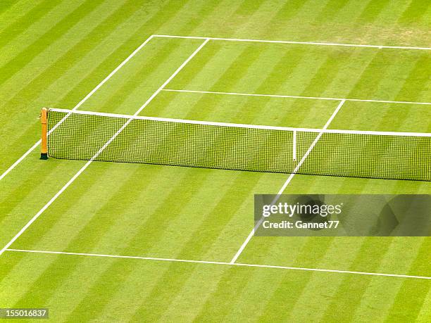 grass court - tennis stock-fotos und bilder