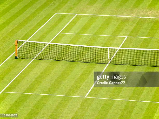 relva court de ténis - ténis desporto com raqueta imagens e fotografias de stock