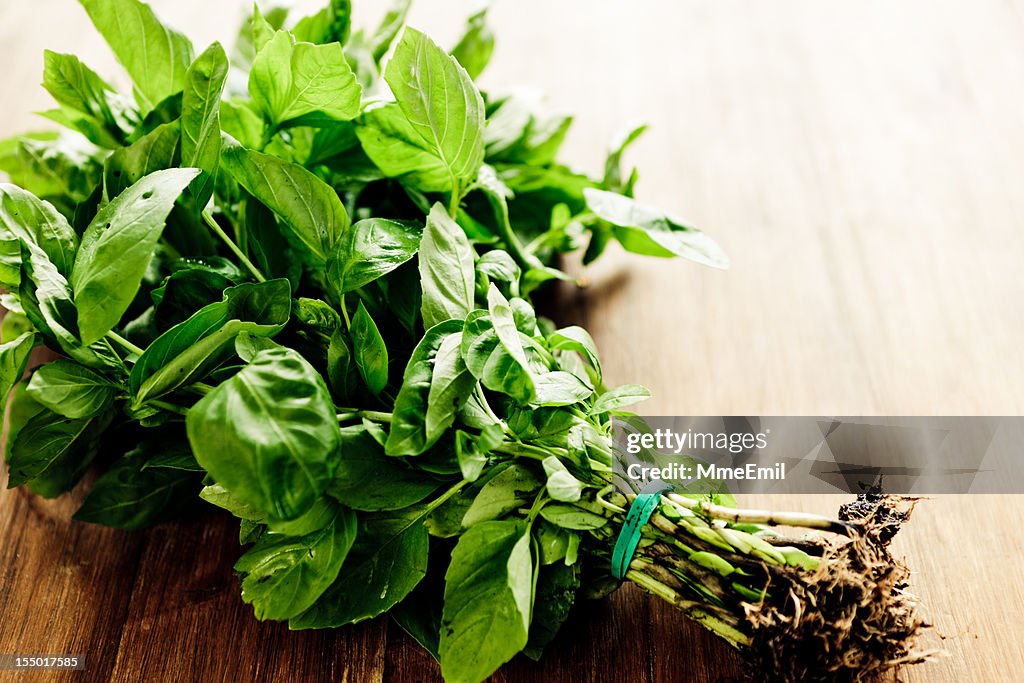 Freshly picked bunch of basil on wooden table