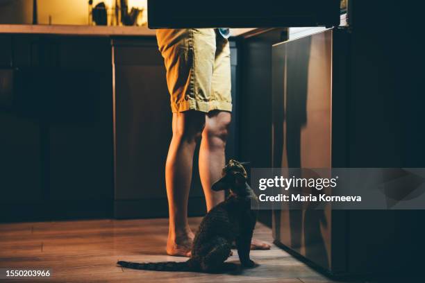 midnight snack, women and cute curious cat  looking into fridge. - evening indulgence stock pictures, royalty-free photos & images