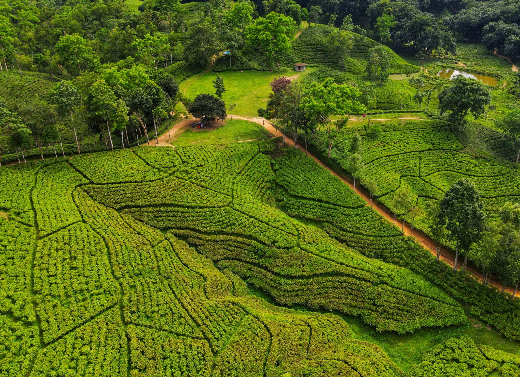 scenic landscape Bangladesh
