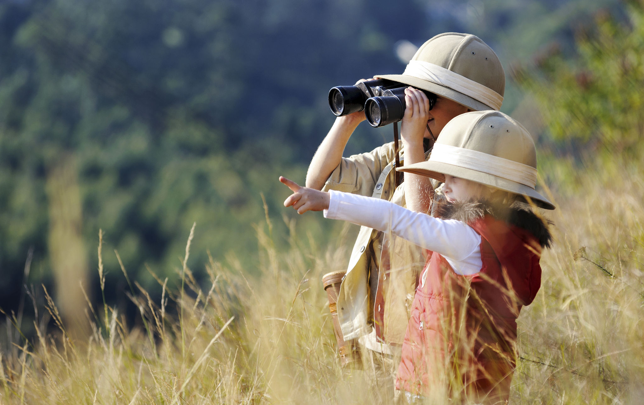 children learning safari