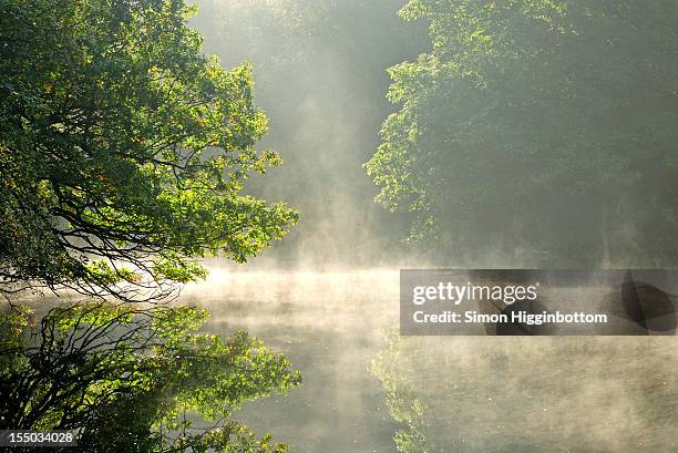 morning mist, west yorkshire - simon higginbottom 個照片及圖片檔